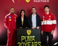 puma-min