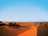Al Maha Desert Resort & Spa, Dubai
