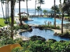 Surrounded by palm trees and tropical vegetation, the pool area is a great spot to relax with a drink or watch local surfers take on the ocean’s rolling waves.