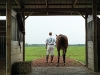 bobbywithhorse